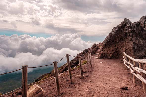 Escursione al Vesuvio e a Ercolano